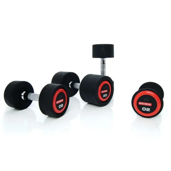 adjustable dumbbells commercia 0 1753345972 - BOXFITTUK