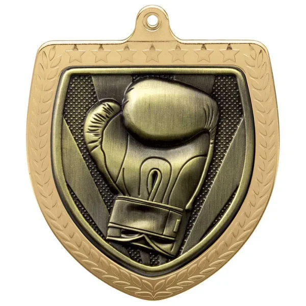 boxing award medal shield desi 0 1753347099 - BOXFITTUK