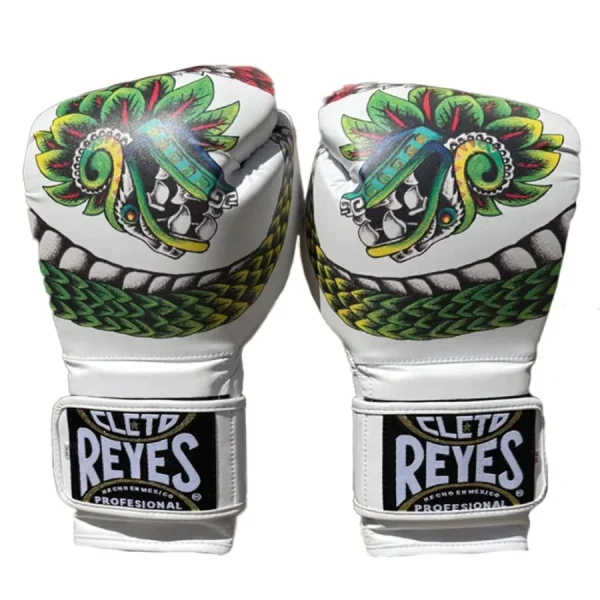 cleto reyes dragon print mma g 0 1753347594 - BOXFITTUK