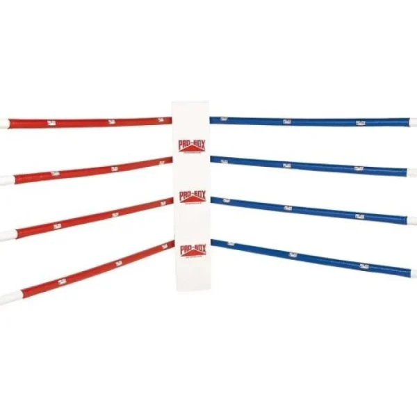heavy duty boxing ring with pa 0 1753347368 - BOXFITTUK
