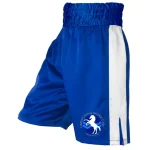 mens abc stripe satin boxing s 0 1753347593 - BOXFITTUK