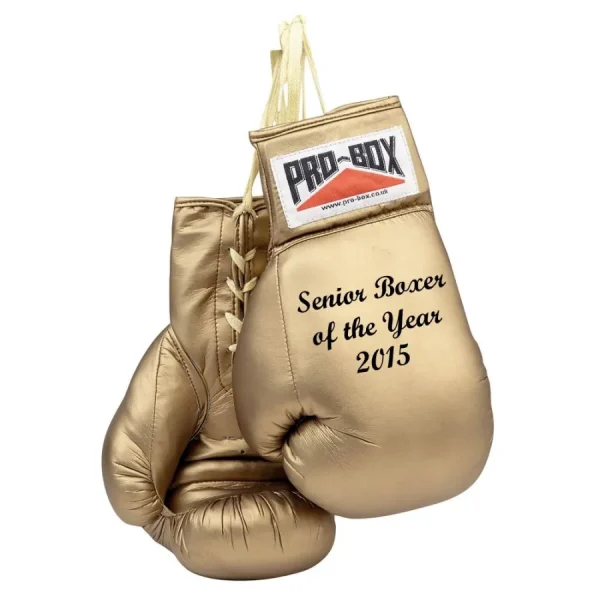personalized boxing gloves cus 0 1753346354 - BOXFITTUK
