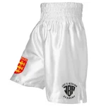 premium satin fight shorts joe 0 1753347592 - BOXFITTUK