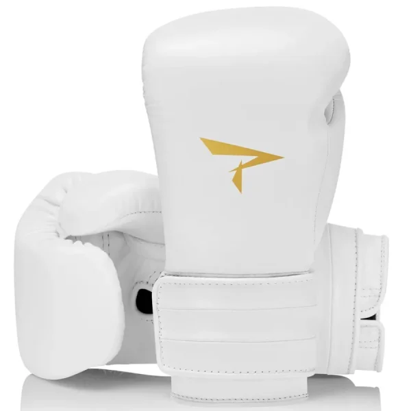 professional boxing gloves for 0 1753347563 - BOXFITTUK