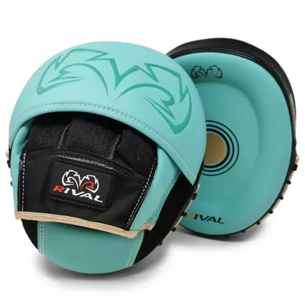 professional boxing punch mitt 0 1753346379 - BOXFITTUK